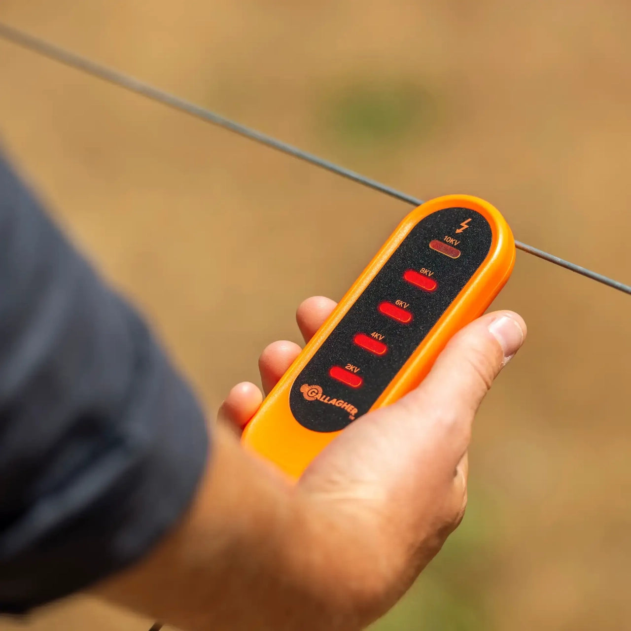 Gallagher Neon Tester 5 Light
