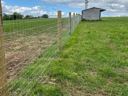 Torus Stiff Stay R13/120/8 High Tensile Horse 50m