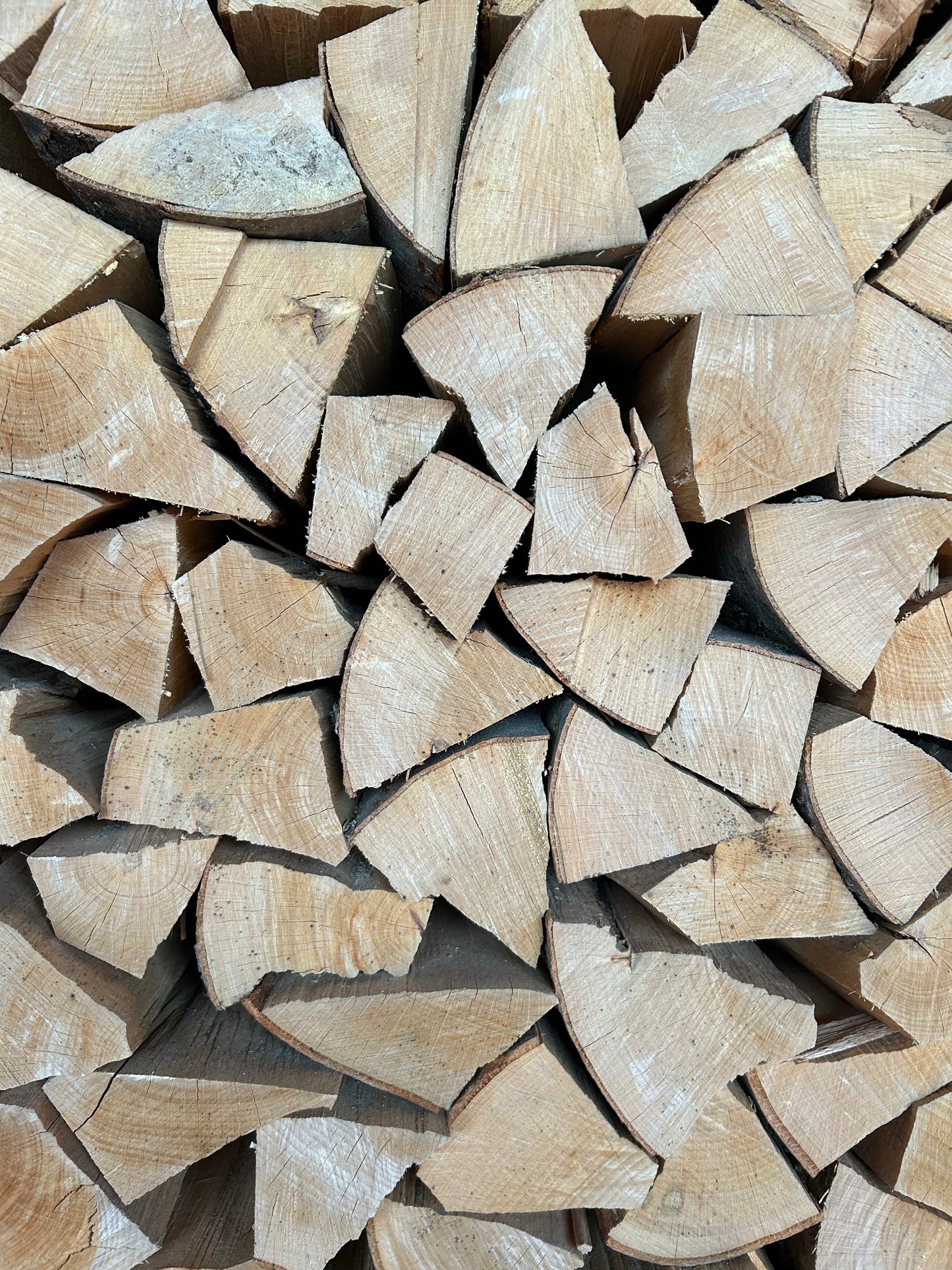 Kiln-Dried Crate Beech Firewood