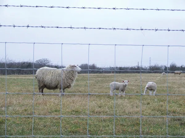 Tornado R8/80/15 High Tensile Livestock 100m