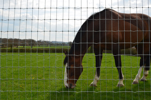 Tornado - Torus Stiff Stay R12/110/5 High Tensile Horse 50m