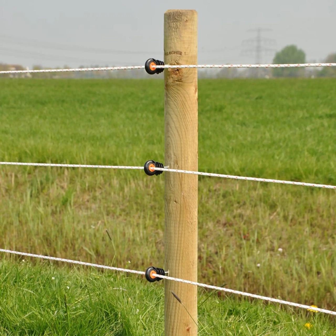 Gallagher XDI Screw In - Pack of 25